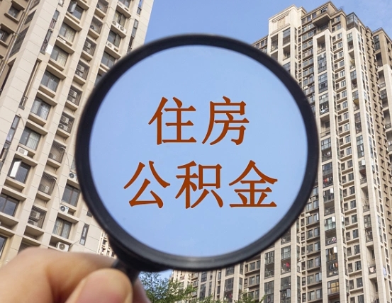 衡水退休后查不到公积金明细了吗（退休后公积金查询不到原因）